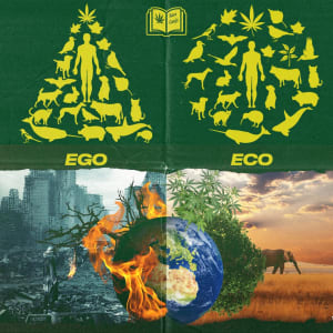 ekosentrisme - legalisasi ganja